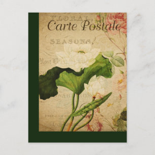 Vintage Botanical French Post Card Lotus