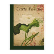 Vintage Botanical French Post Card Lotus