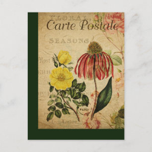 Vintage Botanical French Post Card Mix