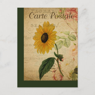 Vintage Botanical French Post Card Sunflower