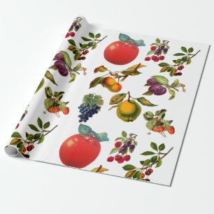 Vintage Botanical Fruit Apples Pears Grapes art Wrapping Paper