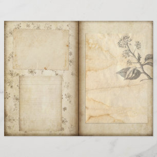 Vintage Botanical Garden Journal Scrapbook Paper