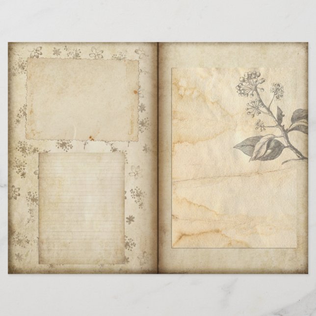 Vintage Botanical Garden Journal Scrapbook Paper (Front)