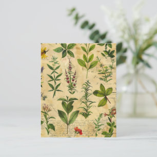 Vintage Botanical Herbal Scrapbook Paper 