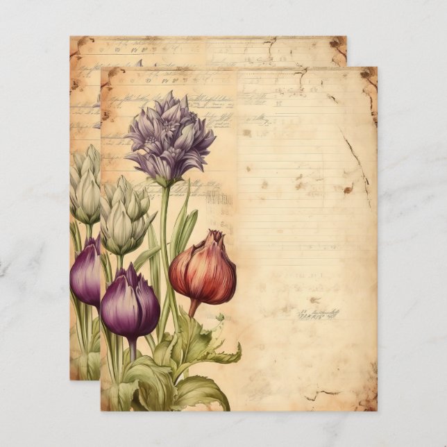 Vintage Botanical Herbal Scrapbook Paper  (Front/Back)