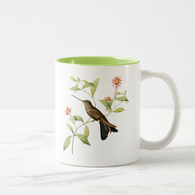 vintage botanical hummingbird wild bird coffee mug (Right)