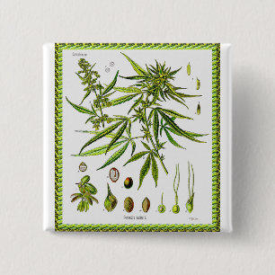 Vintage Botanical Illustration, 1897 - A weed 15 Cm Square Badge