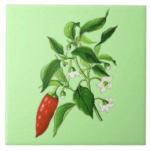 Vintage Botanical Illustration, Chili Pepper Tile
