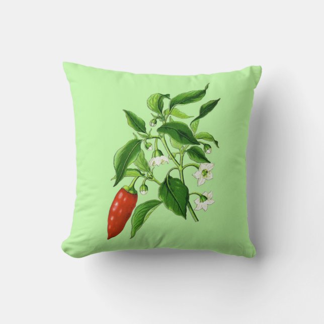 Vintage Botanical Illustration, Chilli Pepper Cushion (Front)