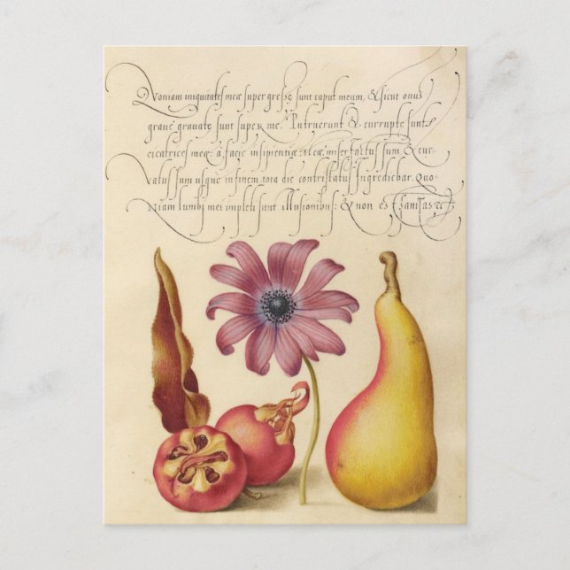 Vintage Botanical Illustration Holiday Postcard (Front)
