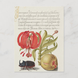 Vintage Botanical Illustration Holiday Postcard