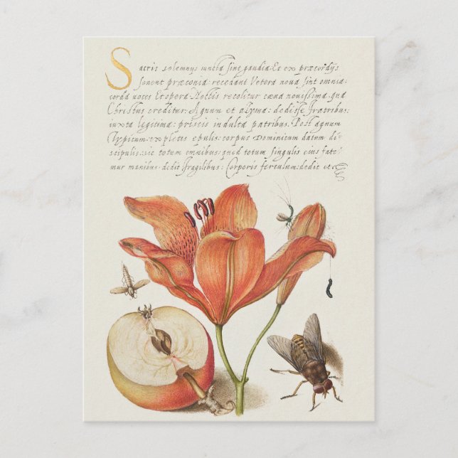 Vintage Botanical Illustration Holiday Postcard (Front)