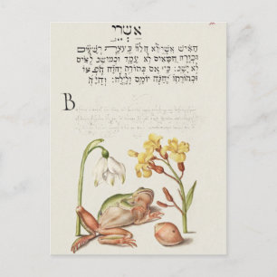 Vintage Botanical Illustration Holiday Postcard