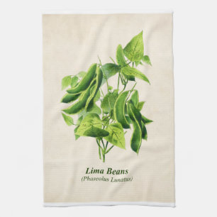 Vintage Botanical Illustration, Lima Bean Vine Ki Tea Towel
