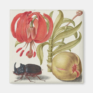 Vintage Botanical Illustration  Magnet