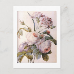vintage botanical illustration, pink rose postcard