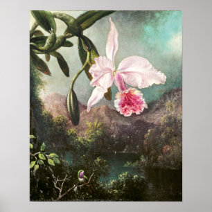 Vintage Botanical Illustration Poster