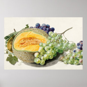 Vintage Botanical Illustration Poster