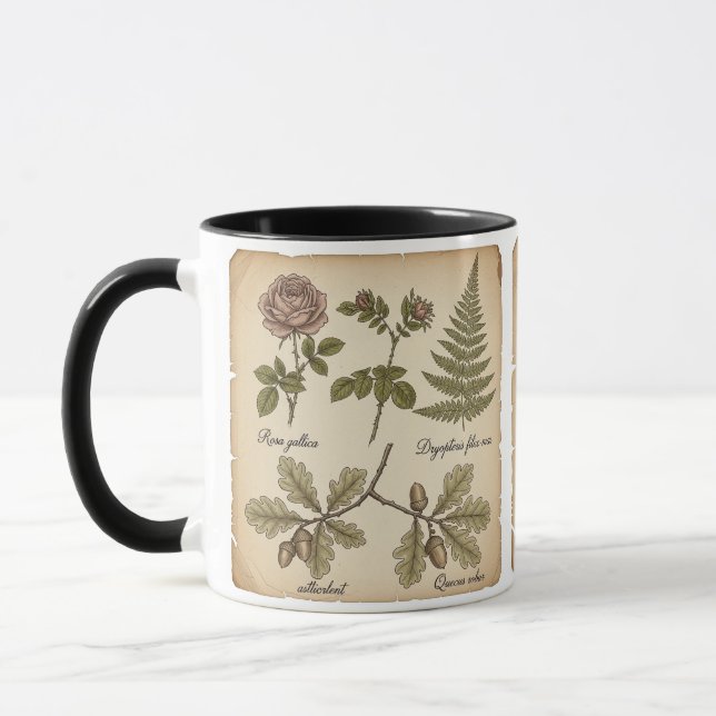 Vintage Botanical Illustration | Rose, Fern & Oak  Mug (Left)