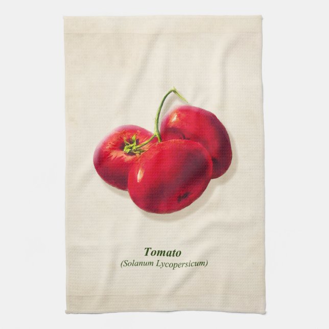 Vintage Botanical Illustration, Tomatoes Tea Towel (Vertical)