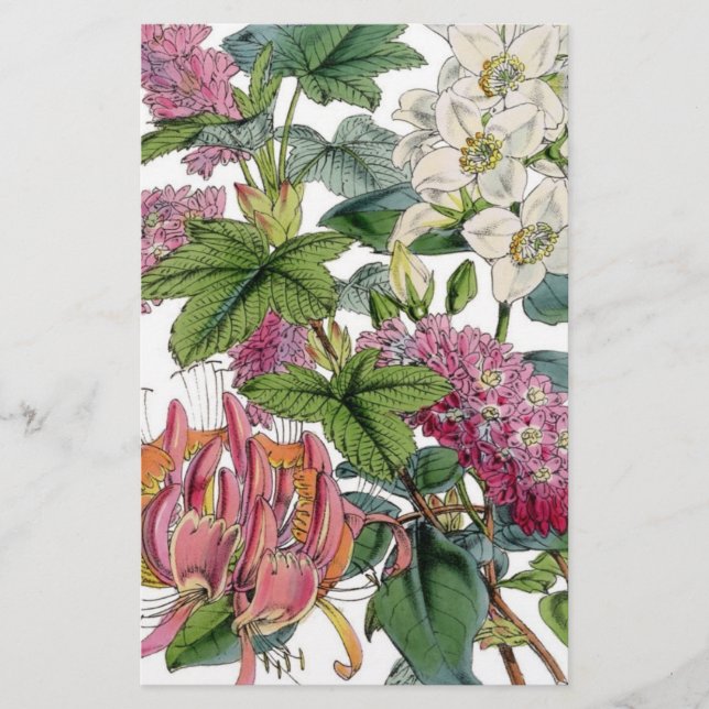 Vintage Botanical Illustrations Flyer (Front)