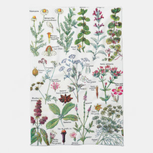 Vintage Botanical Illustrations Tea Towel