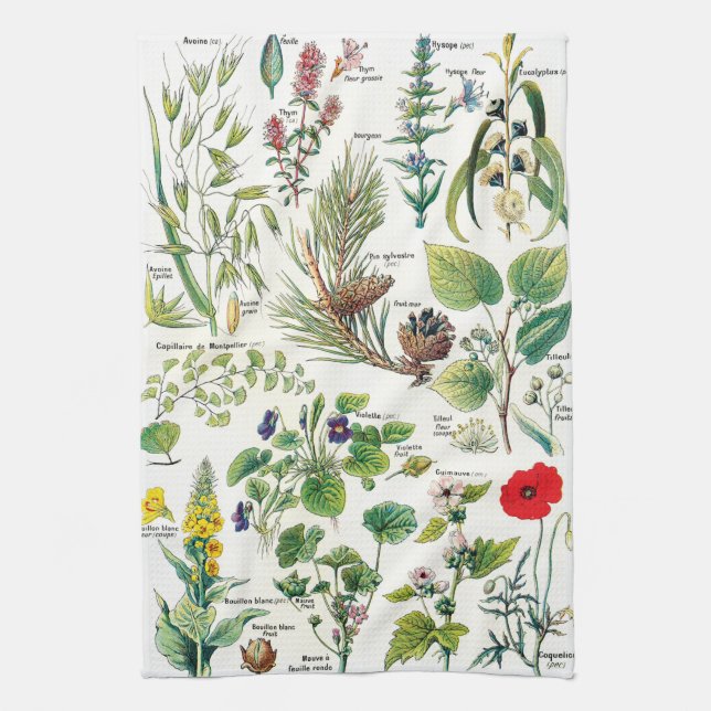 Vintage Botanical Illustrations Tea Towel (Vertical)