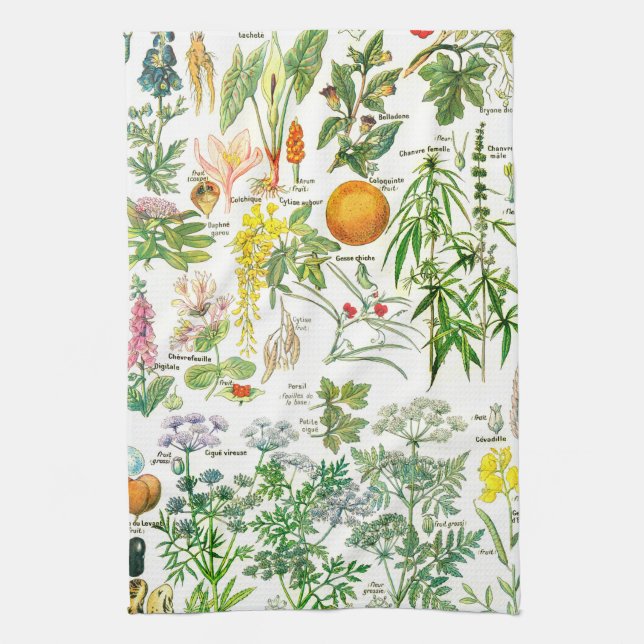 Vintage Botanical Illustrations Tea Towel (Vertical)