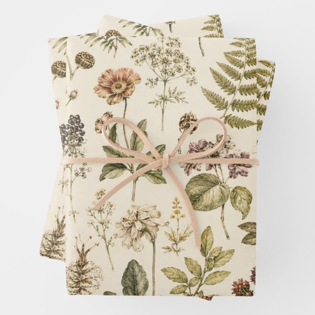 Vintage Botanical Illustrations Wrapping Paper (In situ)