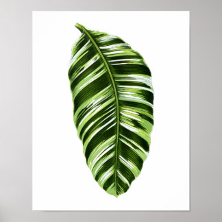 Vintage Botanical Leaf Print