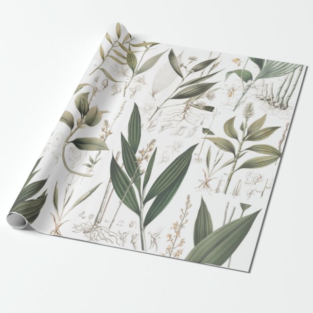 Vintage Botanical Leaves Wrapping Paper (Unrolled)