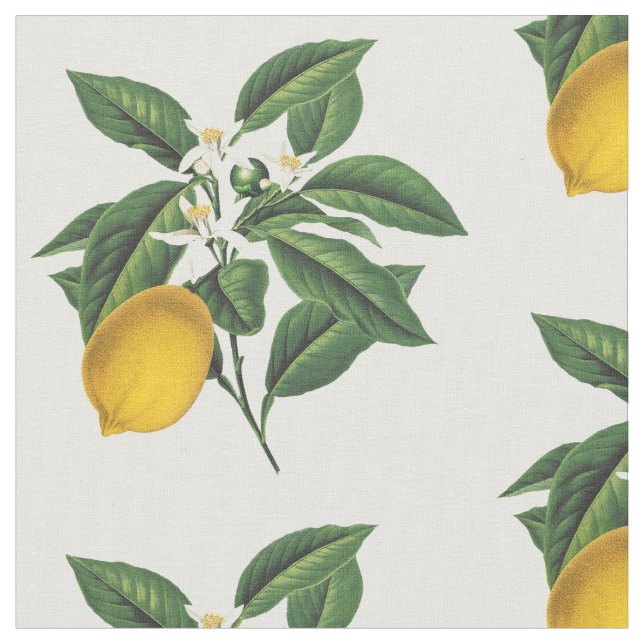 Vintage Botanical Lemon Fruit Blossom Fabric (Close Up)