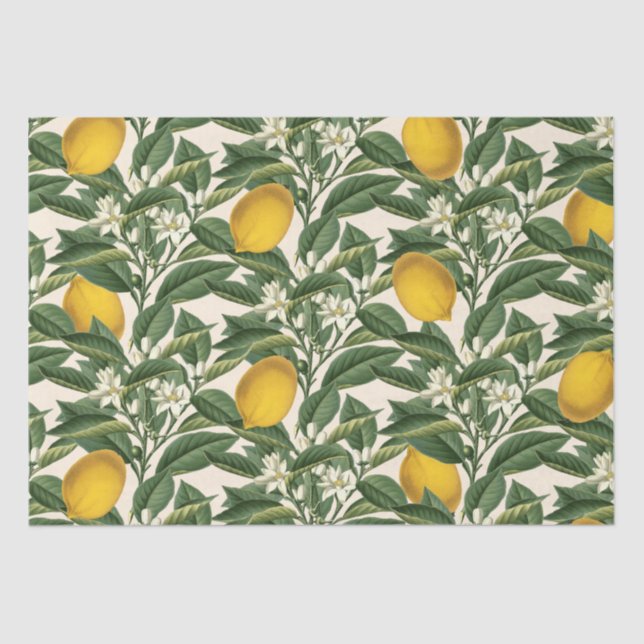 Vintage Botanical Lemon Fruit Blossom Pattern  Tissue Paper (Front)