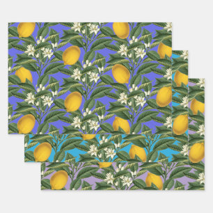 Vintage Botanical Lemon Fruit Blossom Pattern  Wrapping Paper Sheet