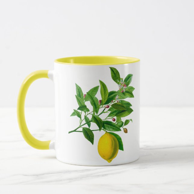 Vintage Botanical Lemon Illustration  Mug (Left)