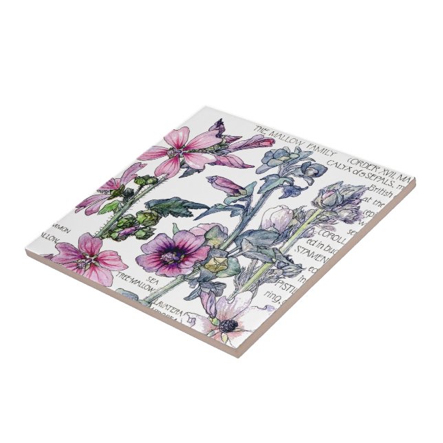 Vintage Botanical Mallow Wildflower Flowers Tile (Side)