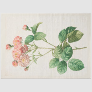 Vintage Botanical Modern Popular Floral Tissue Paper