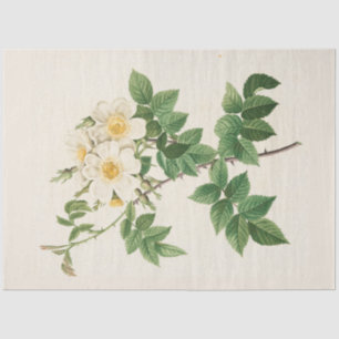 Vintage Botanical Modern Popular Floral Tissue Paper