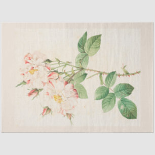Vintage Botanical Modern Popular Floral Tissue Paper