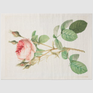Vintage Botanical Modern Popular Floral Tissue Paper