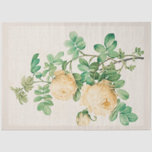 Vintage Botanical Modern Popular Floral Tissue Paper