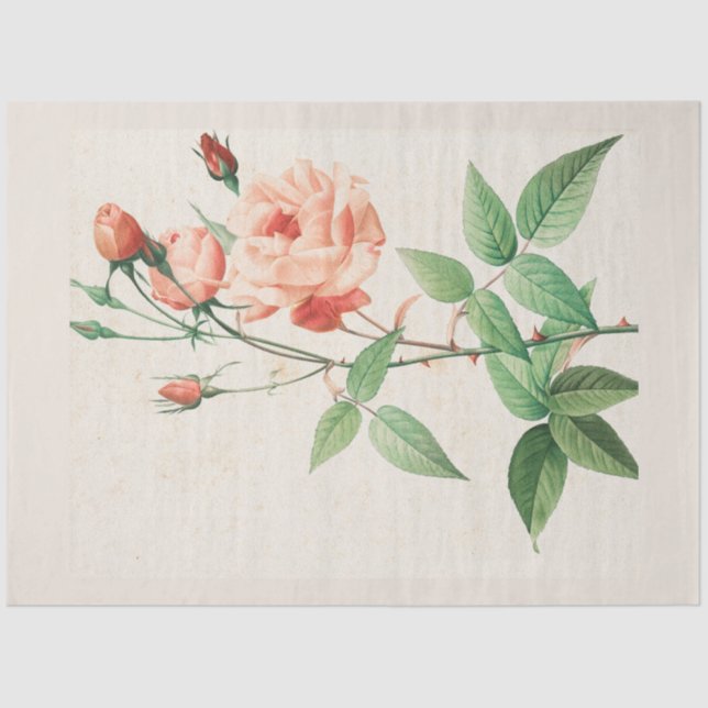 Vintage Botanical Modern Popular Floral Tissue Paper (Front)