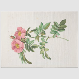 Vintage Botanical Modern Popular Floral Tissue Paper