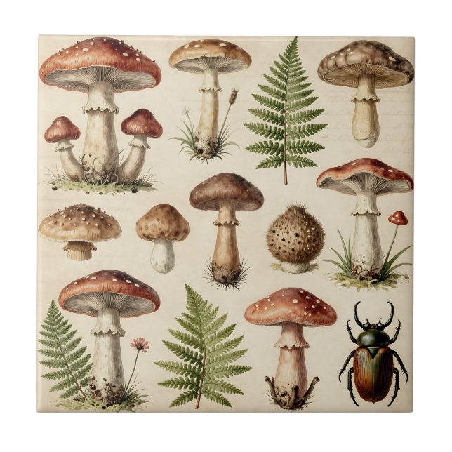 Vintage Botanical Mushroom Fern Collage Tile (Front)