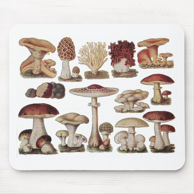 Vintage Botanical Mushrooms Mouse Mat (Front)