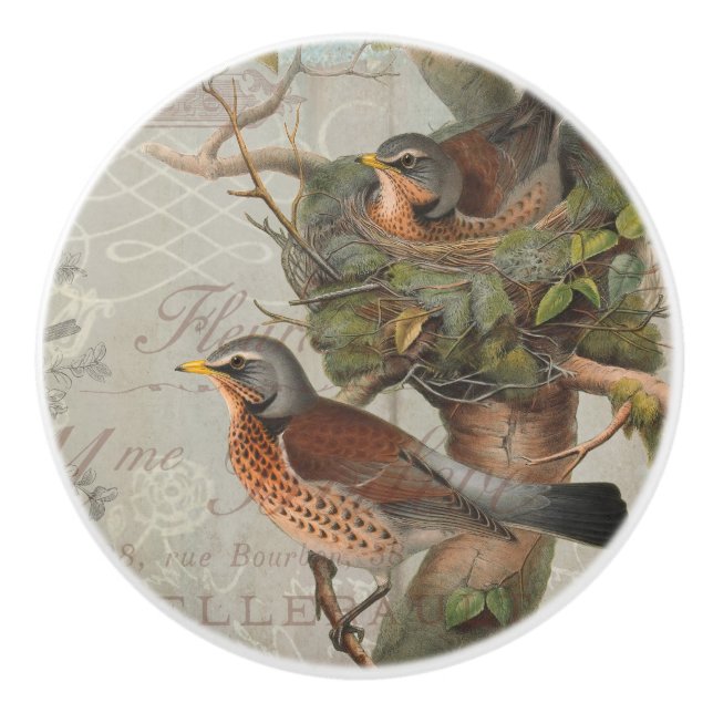 Vintage Botanical Nesting Birds Script Ephemera Ceramic Knob (Front)