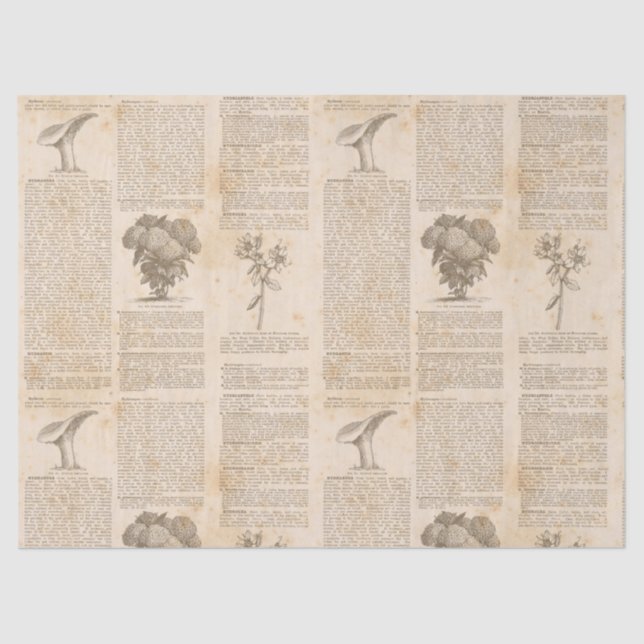 Vintage Botanical Newsprint Decoupage Tissue Paper (Front)