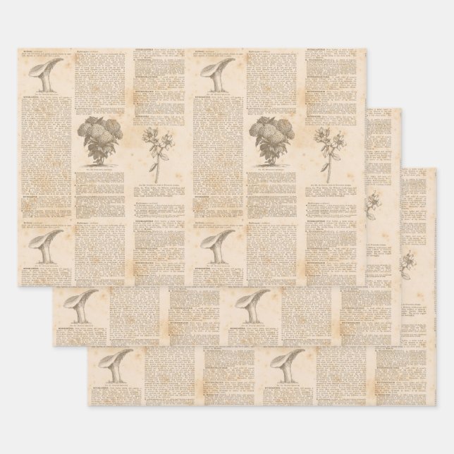 Vintage Botanical Newsprint Wrapping Paper Sheet (Set)