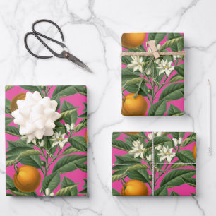 Vintage Botanical Orange Fruit Blossom Hot Pink Wrapping Paper Sheet