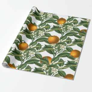 Vintage Botanical Orange Fruit Blossom Pattern Wrapping Paper